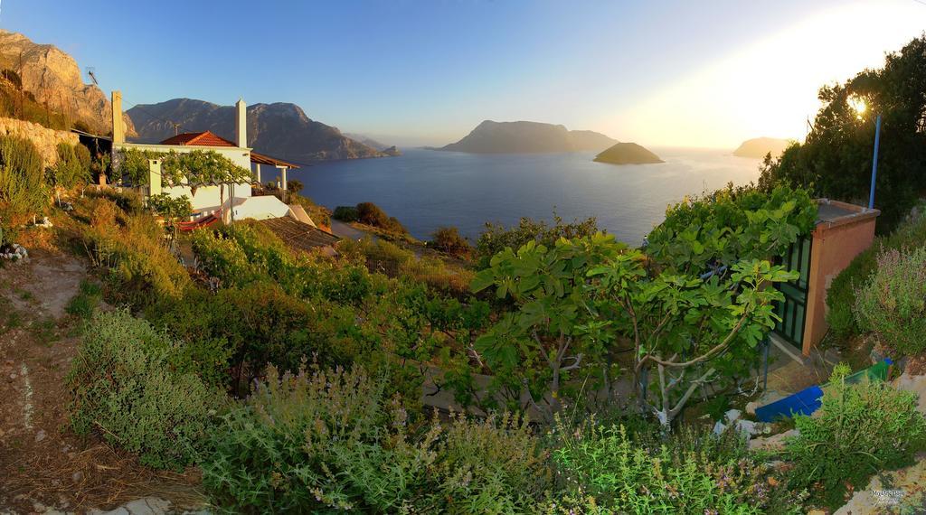 Villa Anna Skalia Bagian luar foto